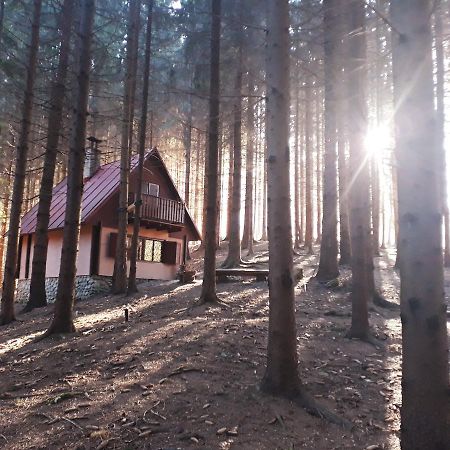 Chata Adavy Liptovský Ján Exterior foto